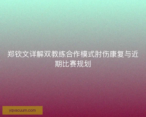 郑钦文详解双教练合作模式肘伤康复与近期比赛规划